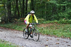 Photo 062